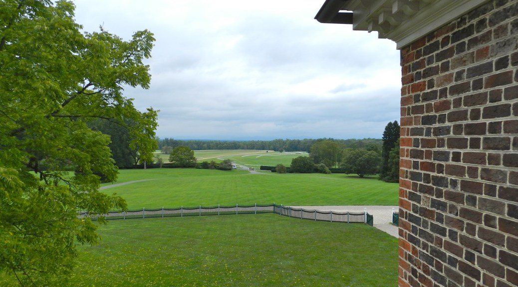 View from the second floor roof deck