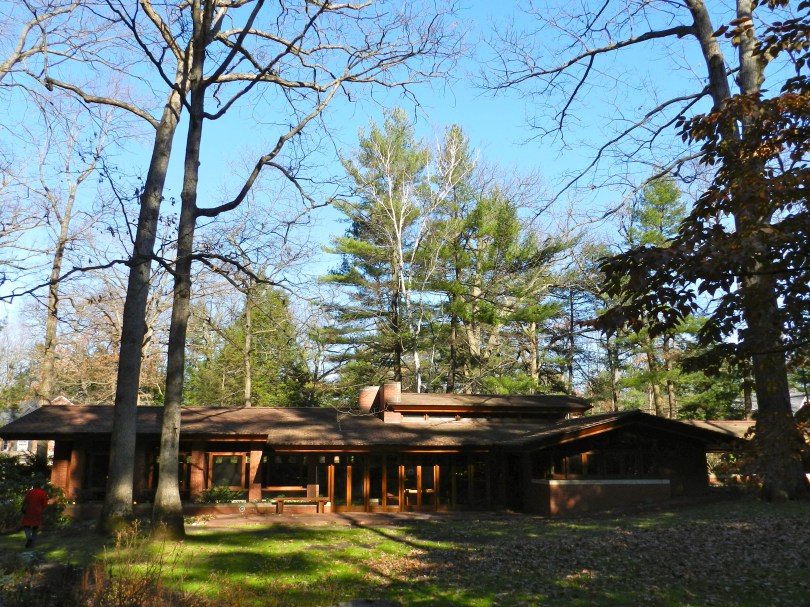 Rear of the Zimmerman House -- the private outdoor space