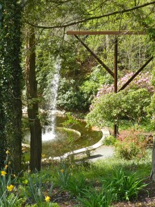 The beautiful gardens and waterfall at the Heritage Museum.