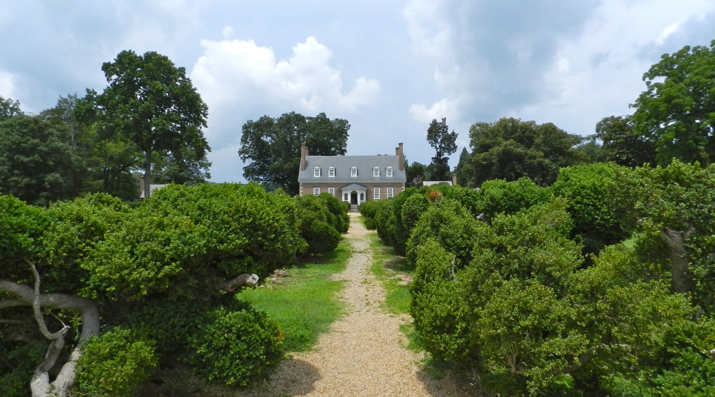 Alee of ancient boxwood