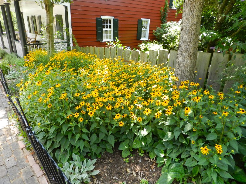 One of the many beautiful gardens at Old Salem
