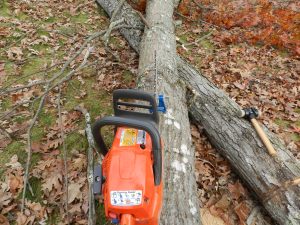Filing a chain saw chain out in the field 
