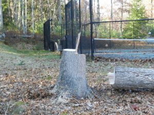 Notch cut and hinge used for a controlled drop