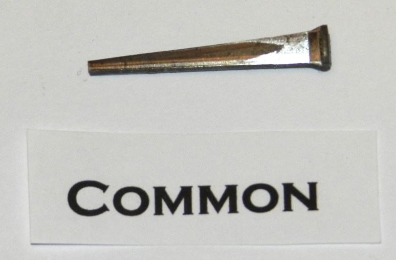 Common Cut Nail