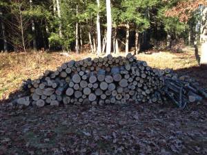 The result of a weekend of hard work