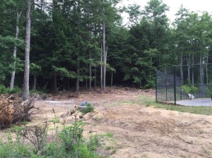 Finally some clear land...