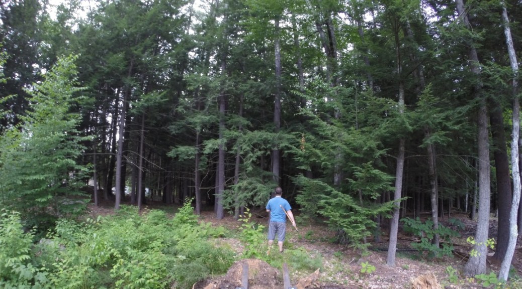 Wandering out into the woods with an ax....