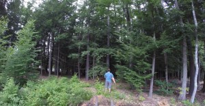 Wandering out into the woods with an ax....