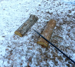 De-barking the log on the right. A metal post hole digging bar makes a good impromptu barking spud.