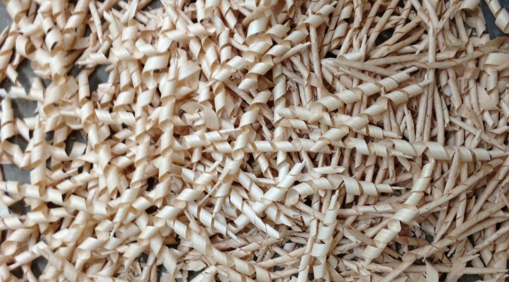 Maple Shavings