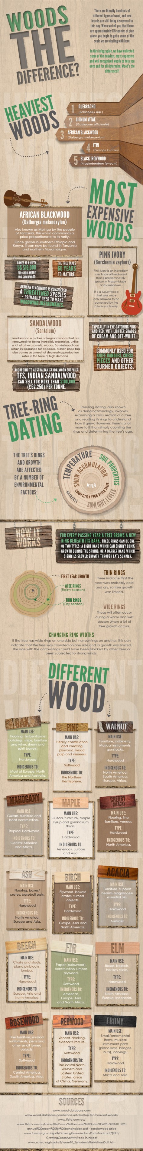 Wood Differences Infographic