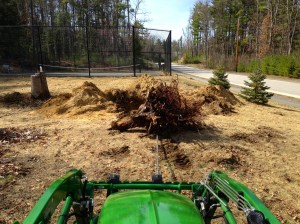 Pulling the stump with a logging chain
