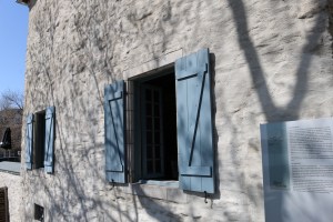 Z-braced Batten Shutter