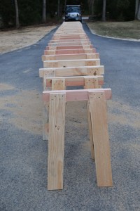 2 ponies in the foreground 26 horses in the background