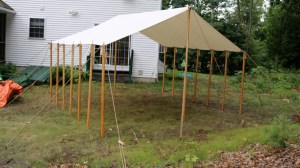 Completed test standing. 