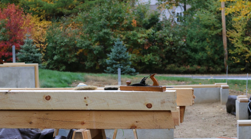 Transitional Jack Plane in its new habitat